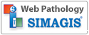 Simagis