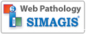 simagis-live-web-pathology