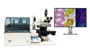 PathFusion by ASI for advanced digital pathology (PRNewsfoto/Applied Spectral Imaging (ASI))