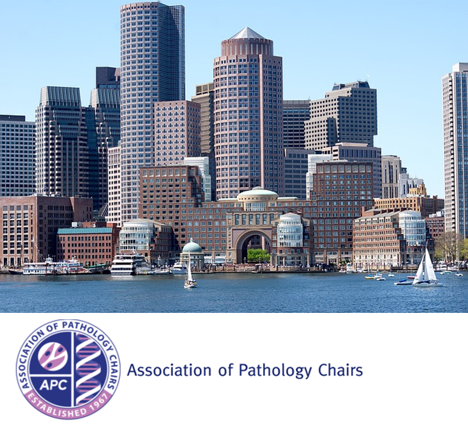 association of pathology chairs